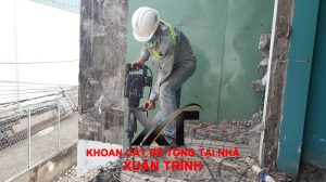 PhÁ DỠ CÔng TrÌnh, Thu Mua 10