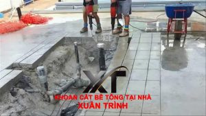PhÁ DỠ CÔng TrÌnh, Thu Mua 14